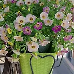 Home Apartment جيارديني ناكسوس
